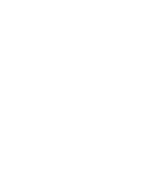 Party Planning Services